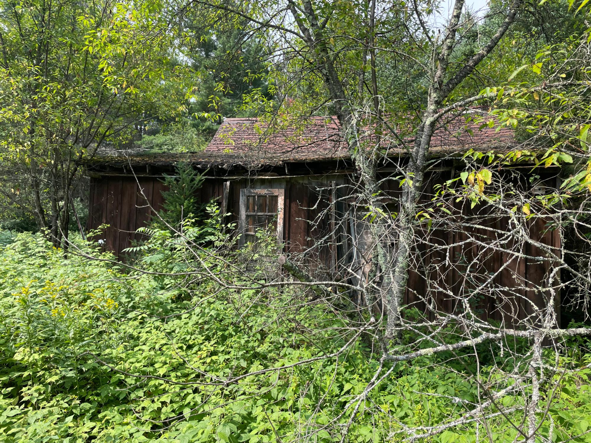N14396 Krucky Road Fifield, WI 54524 - Photo 16 of 23 Gallery Image 16
