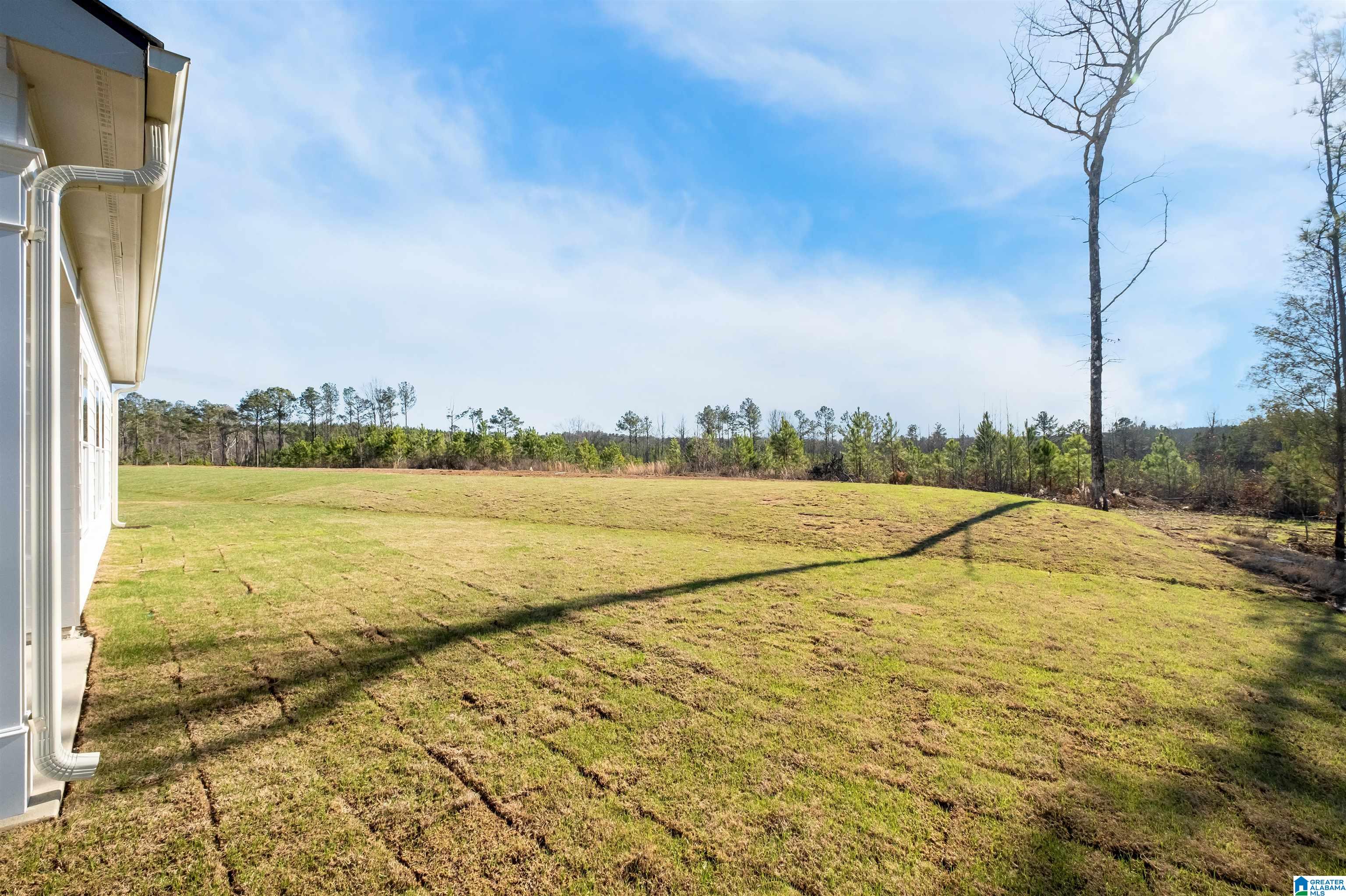 872 Ridgeway Avenue Columbiana, AL 35051 - Photo 38 of 38