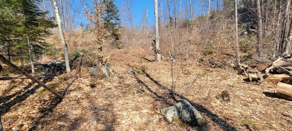Lot 21 River Road Avon, ME 04966 - Photo 1 of 23 20260409_110632