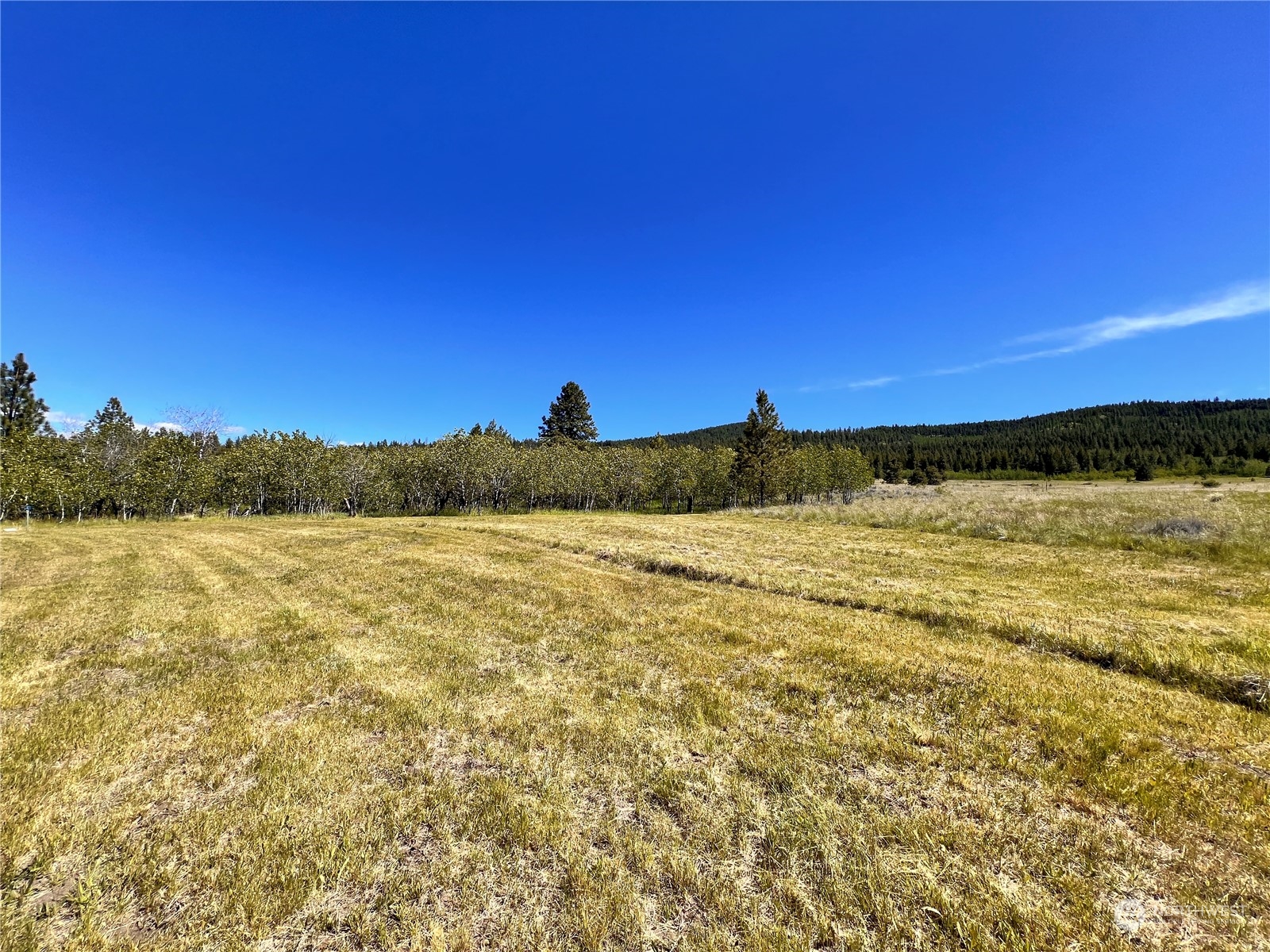 56 Highvalley Road East Tonasket, WA 98855 - Photo 34 of 39 Gallery Image 34