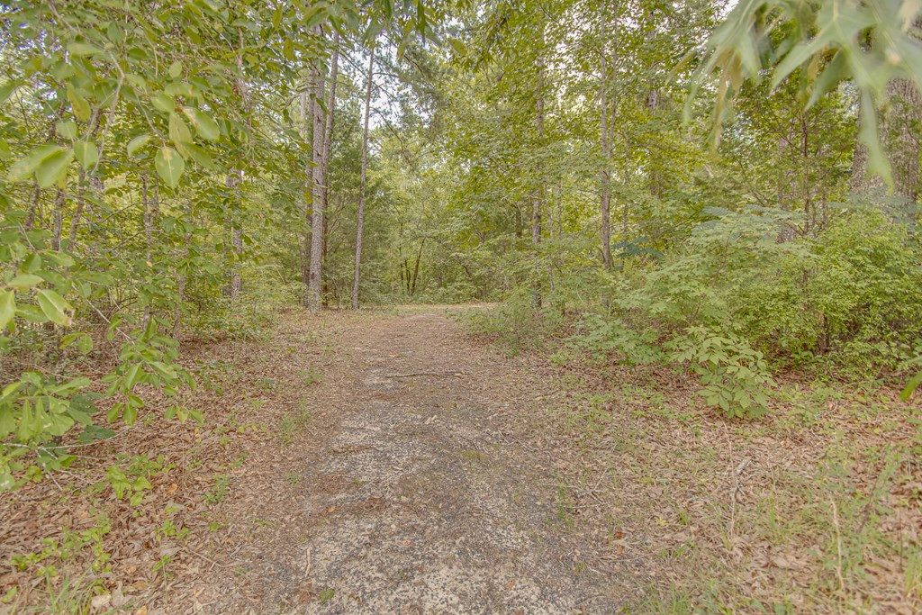 0 Lincolnton Road Northeast Thomson, GA 30824 - Photo 18 of 20