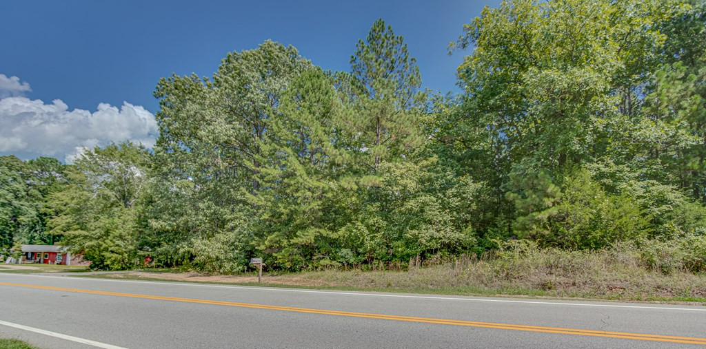 0 Lincolnton Road Northeast Thomson, GA 30824 - Photo 5 of 20