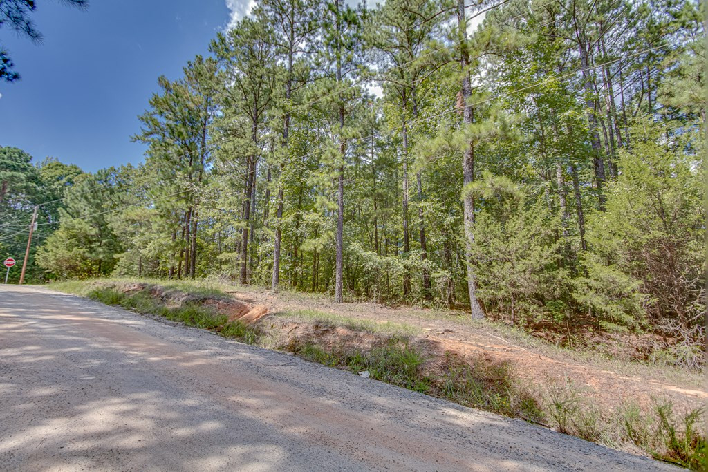 0 Lincolnton Road Northeast Thomson, GA 30824 - Photo 8 of 20