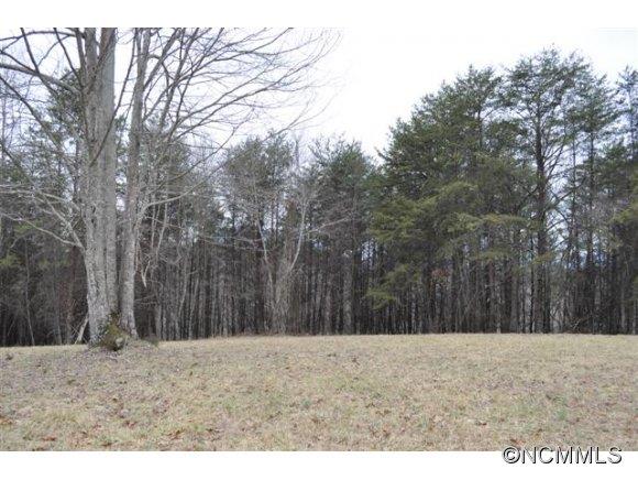 0 Dalton Rd Mill Spring Mill Spring, NC 28756 - Photo 2 of 22 a view of a dry yard