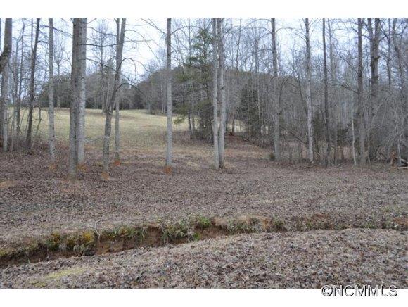 0 Dalton Rd Mill Spring Mill Spring, NC 28756 - Photo 17 of 22 a view of a yard