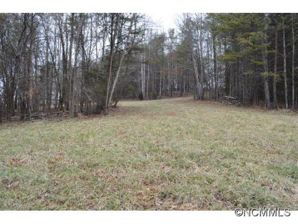 0 Dalton Rd Mill Spring Mill Spring, NC 28756 - Photo 20 of 22 a view of a yard with trees