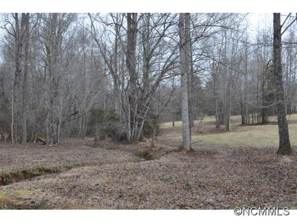 0 Dalton Rd Mill Spring Mill Spring, NC 28756 - Photo 8 of 22 a view of a yard with trees in the background