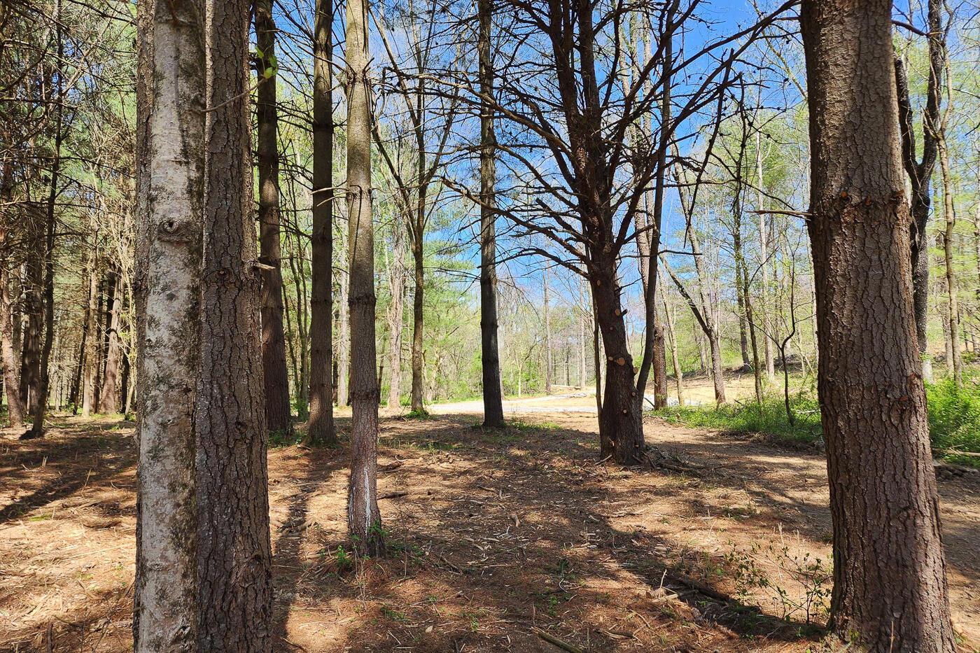 0 Featherstone Road, Unit TRACT 2) Stewart, OH 45778 - Photo 21 of 56 CT-21