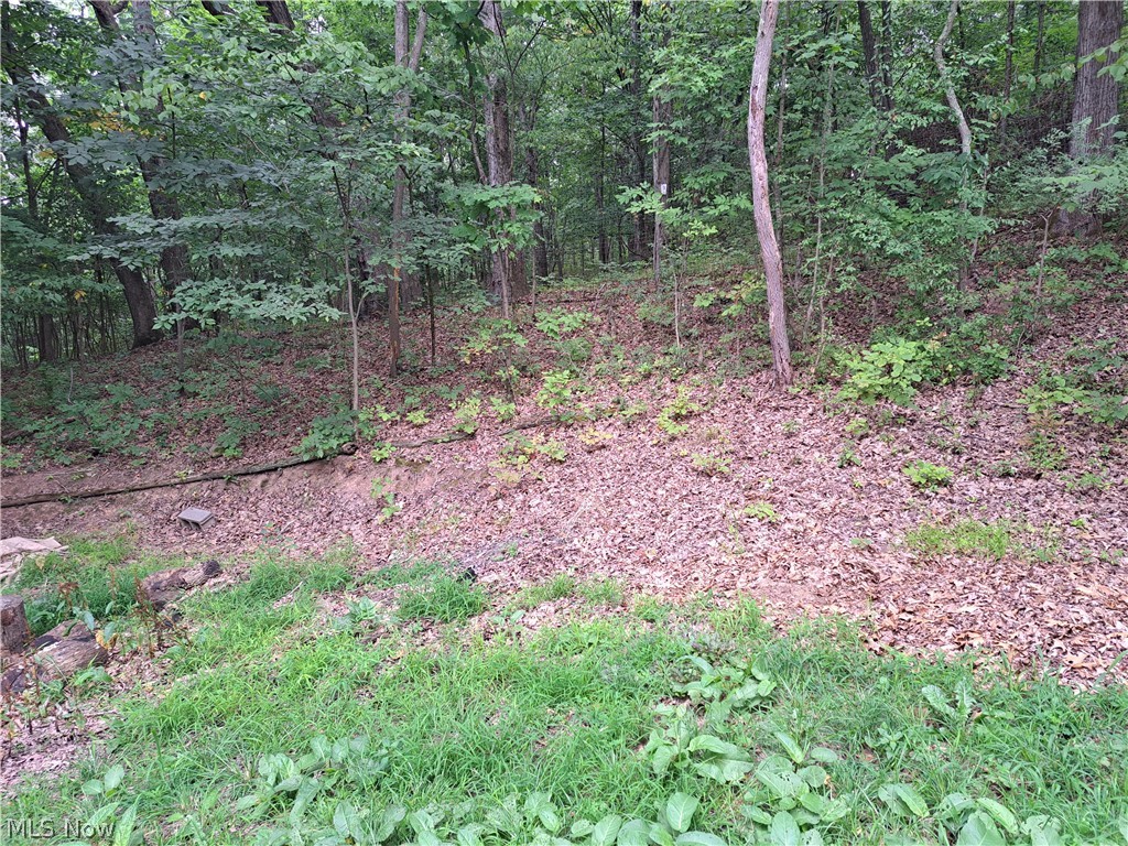 17875 Lashley Road, Unit 124 Senecaville, OH 43780 - Photo 36 of 45 Backyard facing woods