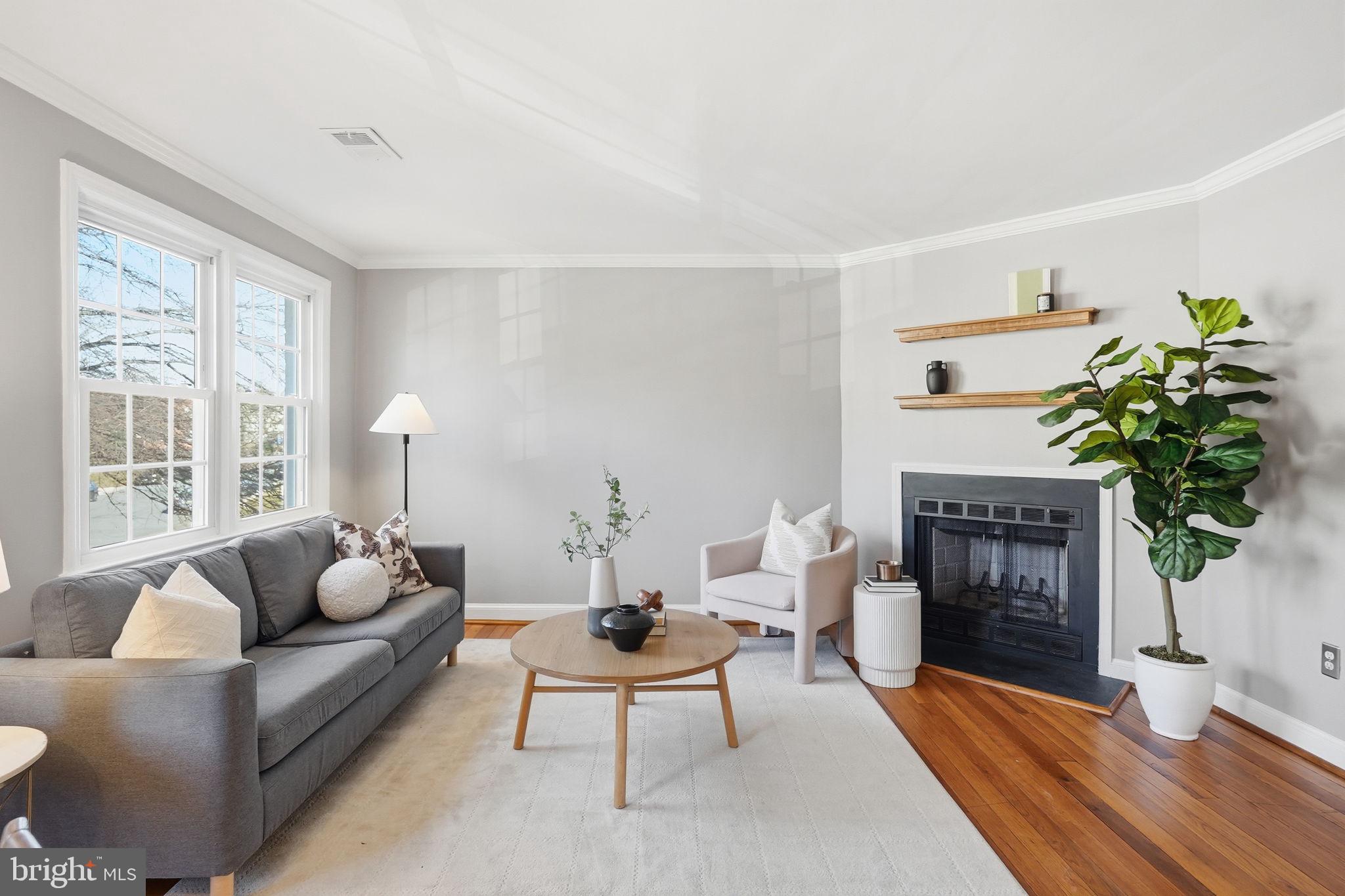 2900 13th Road South, Unit 201 Arlington, VA 22204 - Photo 6 of 32 a living room with furniture a potted plant and a fireplace