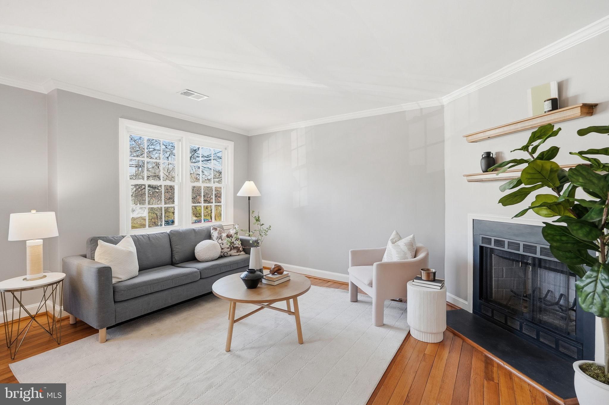 2900 13th Road South, Unit 201 Arlington, VA 22204 - Photo 7 of 32 a living room with furniture a fireplace and a potted plant