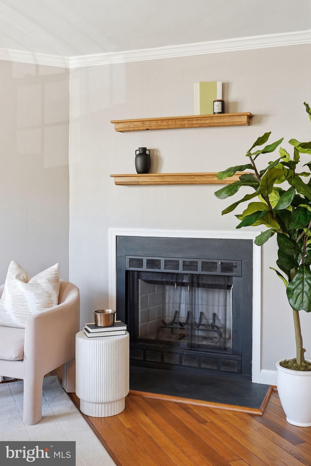 2900 13th Road South, Unit 201 Arlington, VA 22204 - Photo 8 of 32 a living room with furniture and a fireplace