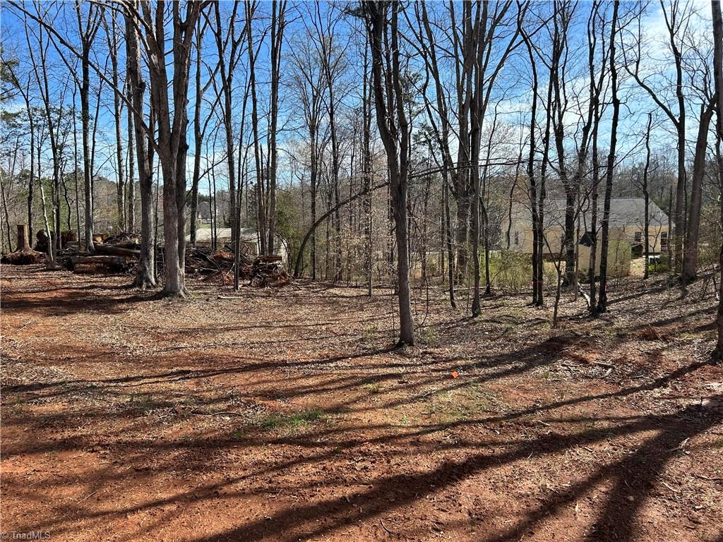 6008 Apple Wyrick Road Gibsonville, NC 27249 - Photo 33 of 35