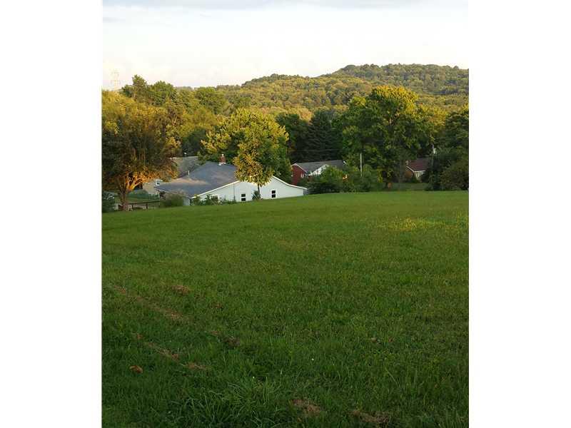 125 Johnetta Road Vandergrift, PA 15690 - Photo 3 of 20 Exterior Back. Large Back Yard!!