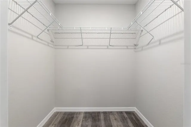 a view of a backyard with plants and a backyard