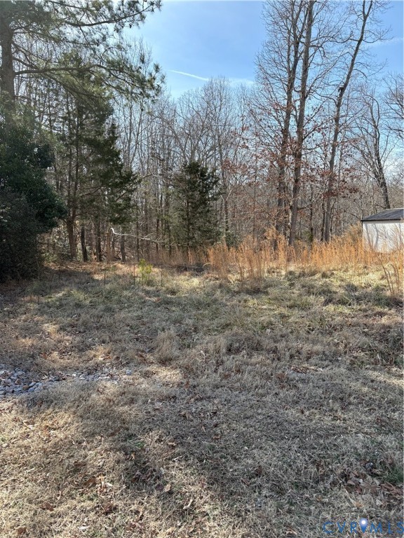 475 James River Overview Spring Grove, VA 23881 - Photo 2 of 2 View of lot