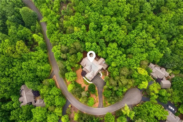 a close up of a tree in a field