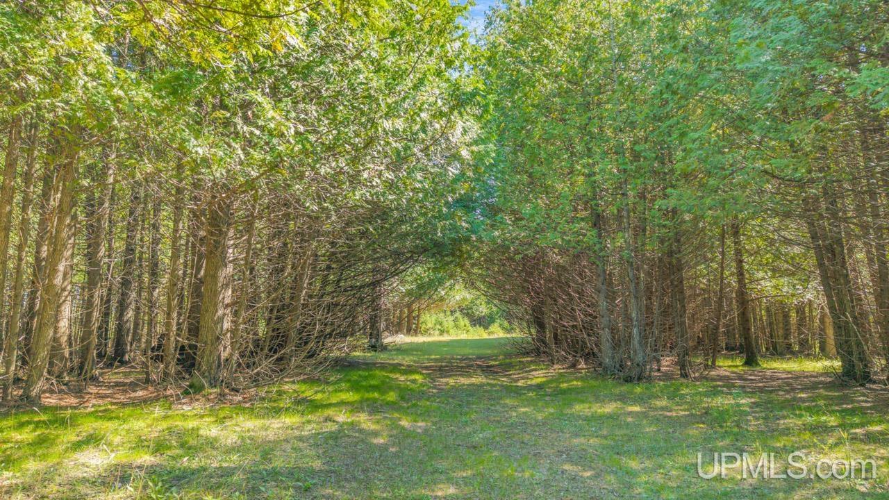 16861 17th Road Garden, MI 49835 - Photo 43 of 48 Gallery Image 43