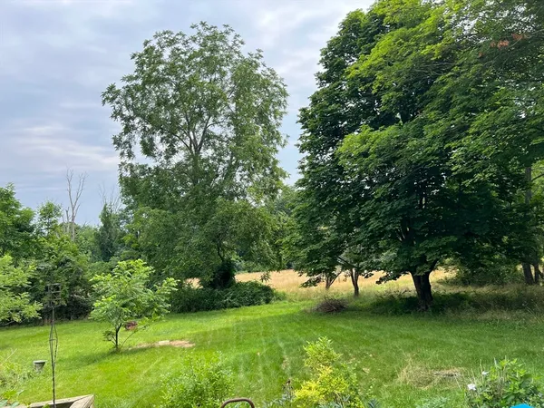 a view of a trees with a yard