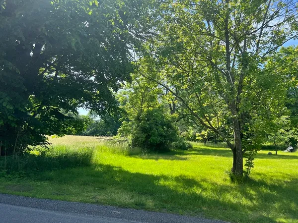 a view of yard with swimming pool and green space