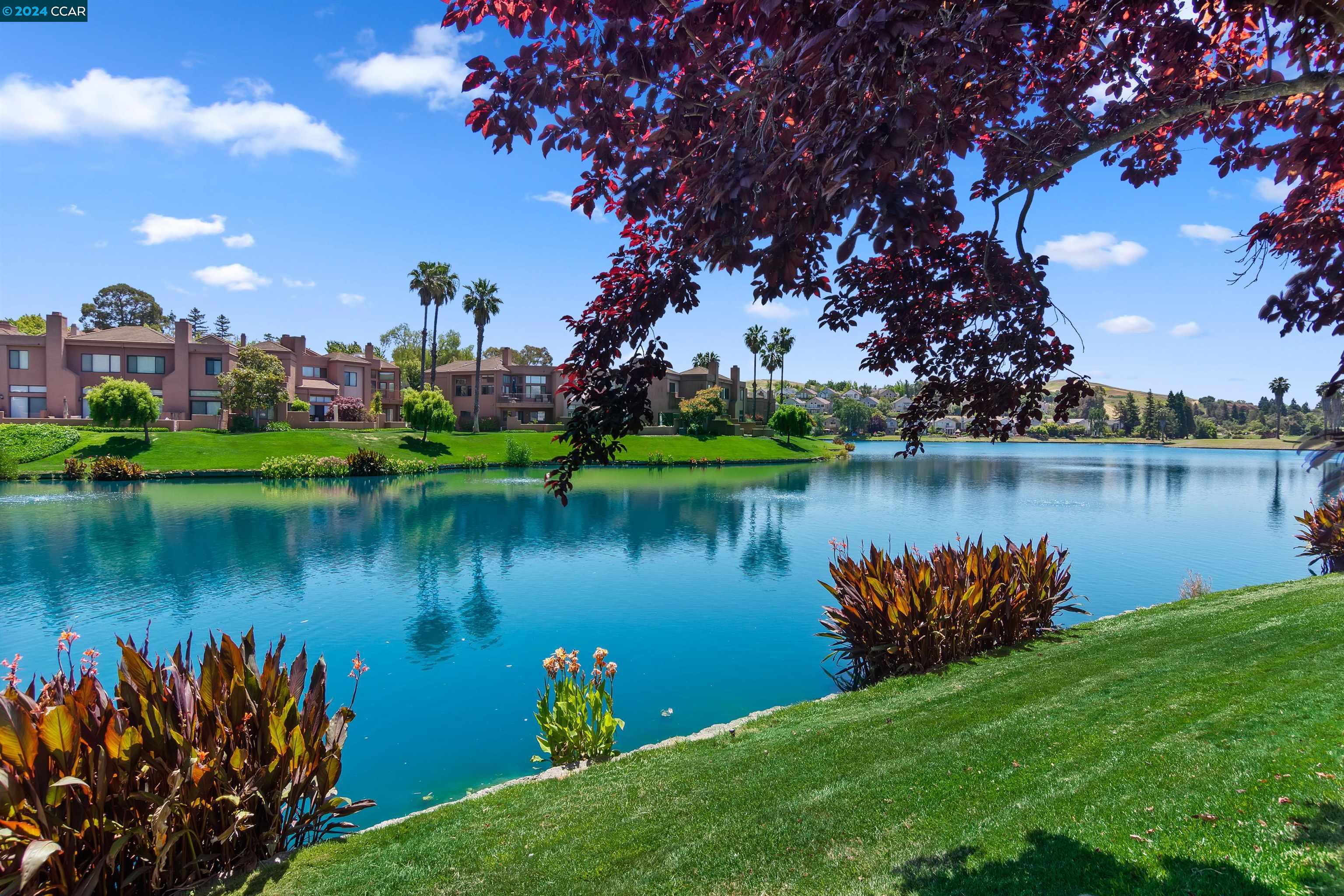 2025 Echo Place San Ramon, CA 94582 - Photo 1 of 1 a body of water with a tree in the background