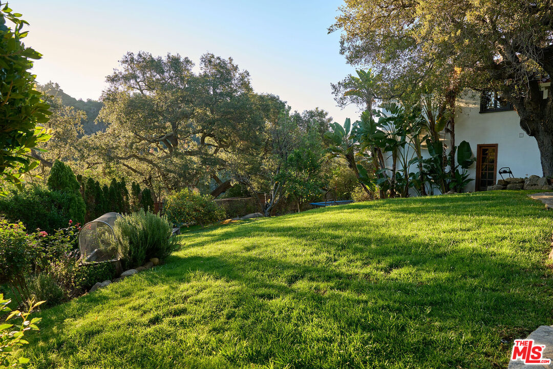 22068 Topanga School Road Topanga, CA 90290 - Photo 55 of 70 a view of a backyard