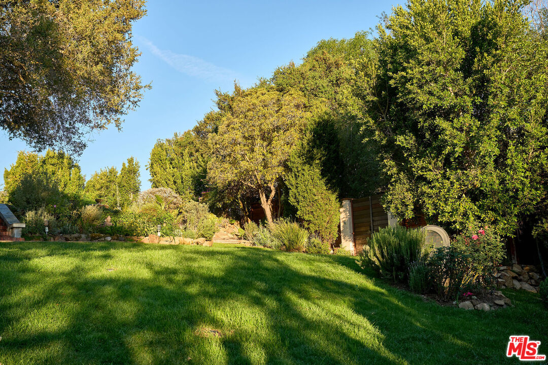 22068 Topanga School Road Topanga, CA 90290 - Photo 67 of 70 a view of a yard with plants and large trees