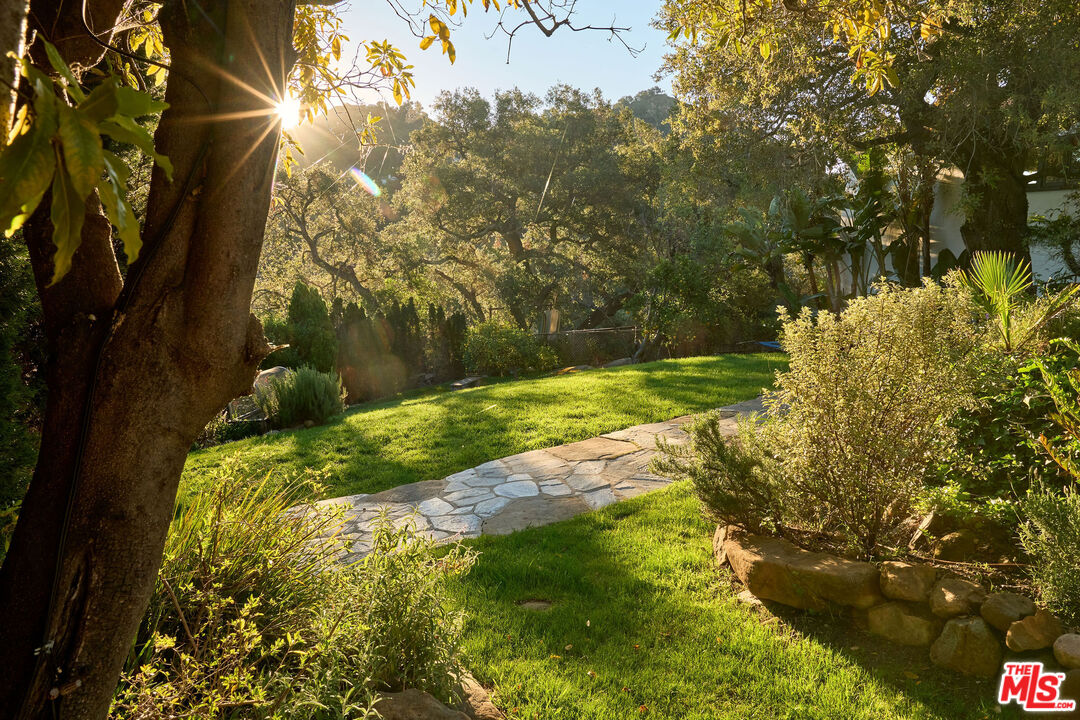 22068 Topanga School Road Topanga, CA 90290 - Photo 68 of 70 a view of a yard with large tree
