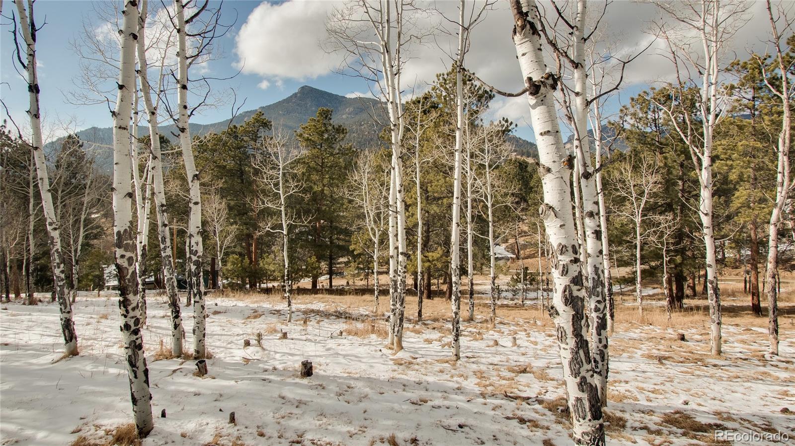 36 Kings Road Evergreen, CO 80439 - Photo 28 of 35 Gallery Image 28