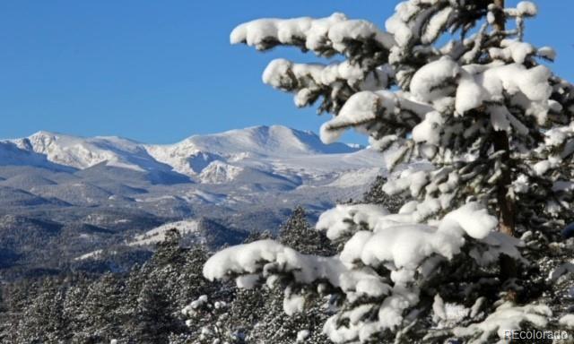 36 Kings Road Evergreen, CO 80439 - Photo 30 of 35 Gallery Image 30