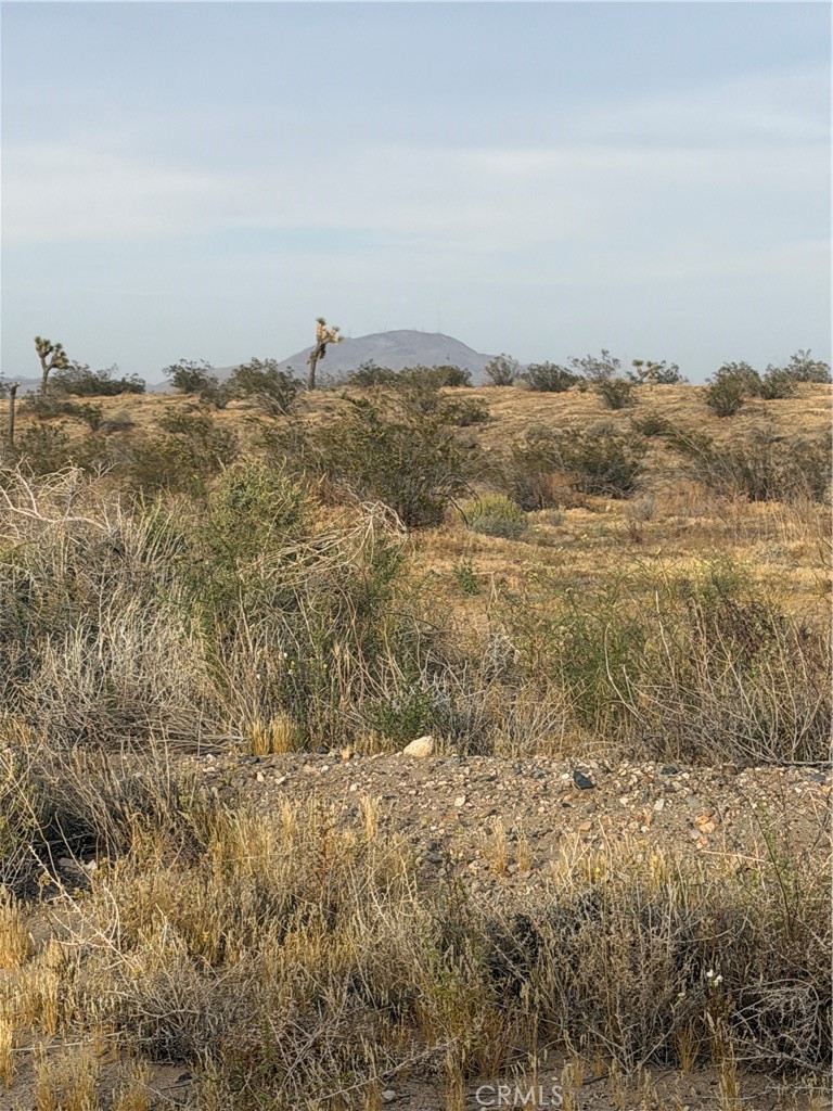 2 Air Expressway Adelanto, CA 92301 - Photo 8 of 10