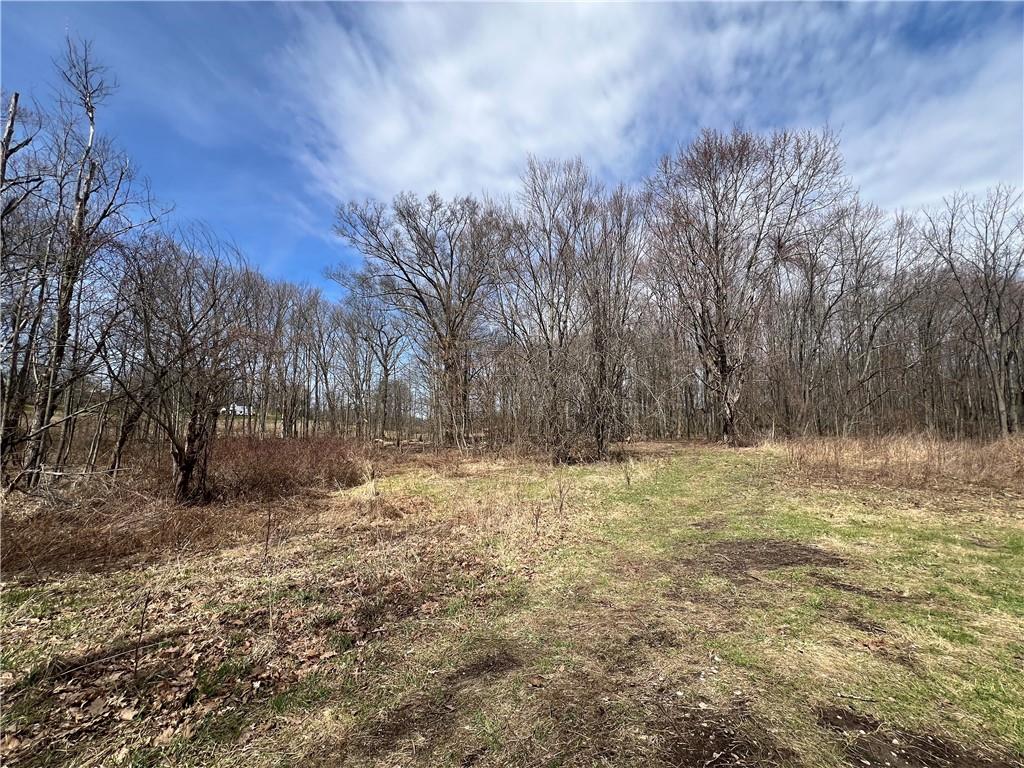 4905 Old Rte 422 New Castle, PA 16101 - Photo 13 of 16 a view of a yard with trees