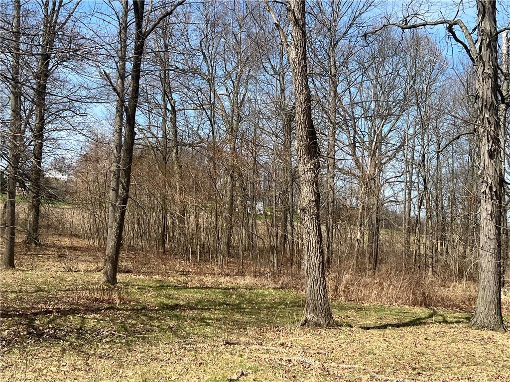 4905 Old Rte 422 New Castle, PA 16101 - Photo 14 of 16 a view of a yard with trees