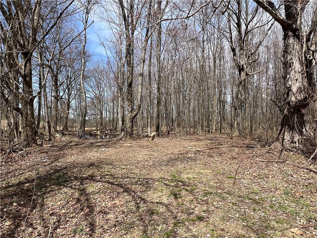 4905 Old Rte 422 New Castle, PA 16101 - Photo 15 of 16 a view of large trees with yard