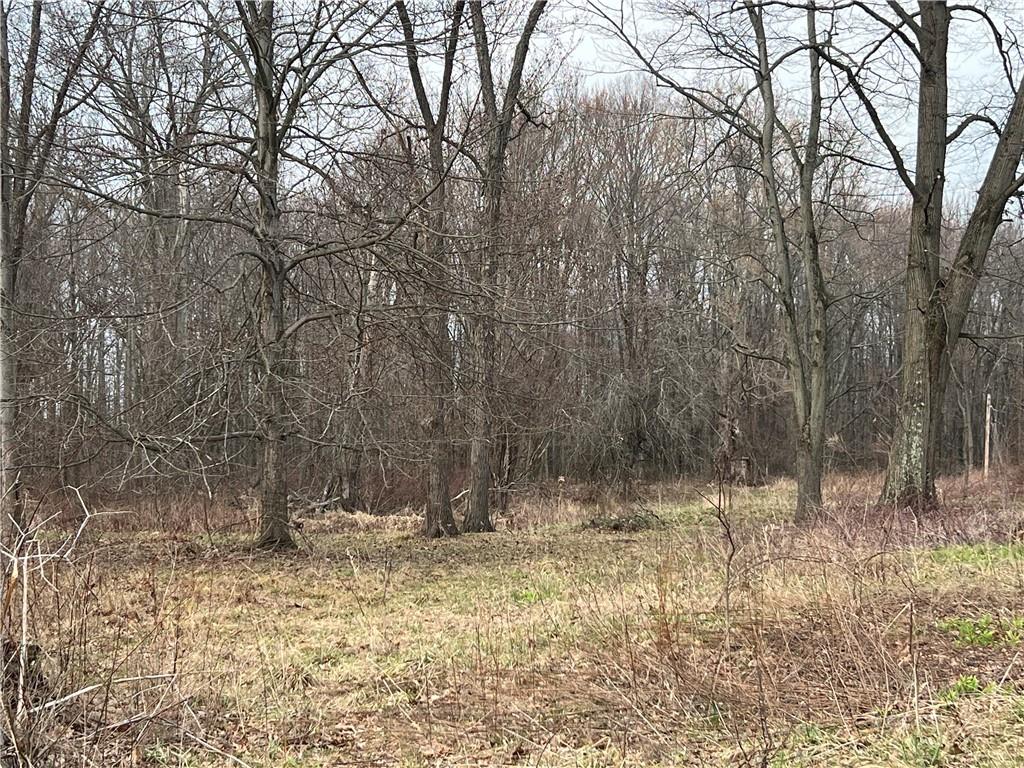 4905 Old Rte 422 New Castle, PA 16101 - Photo 9 of 16 a view of outdoor space with trees