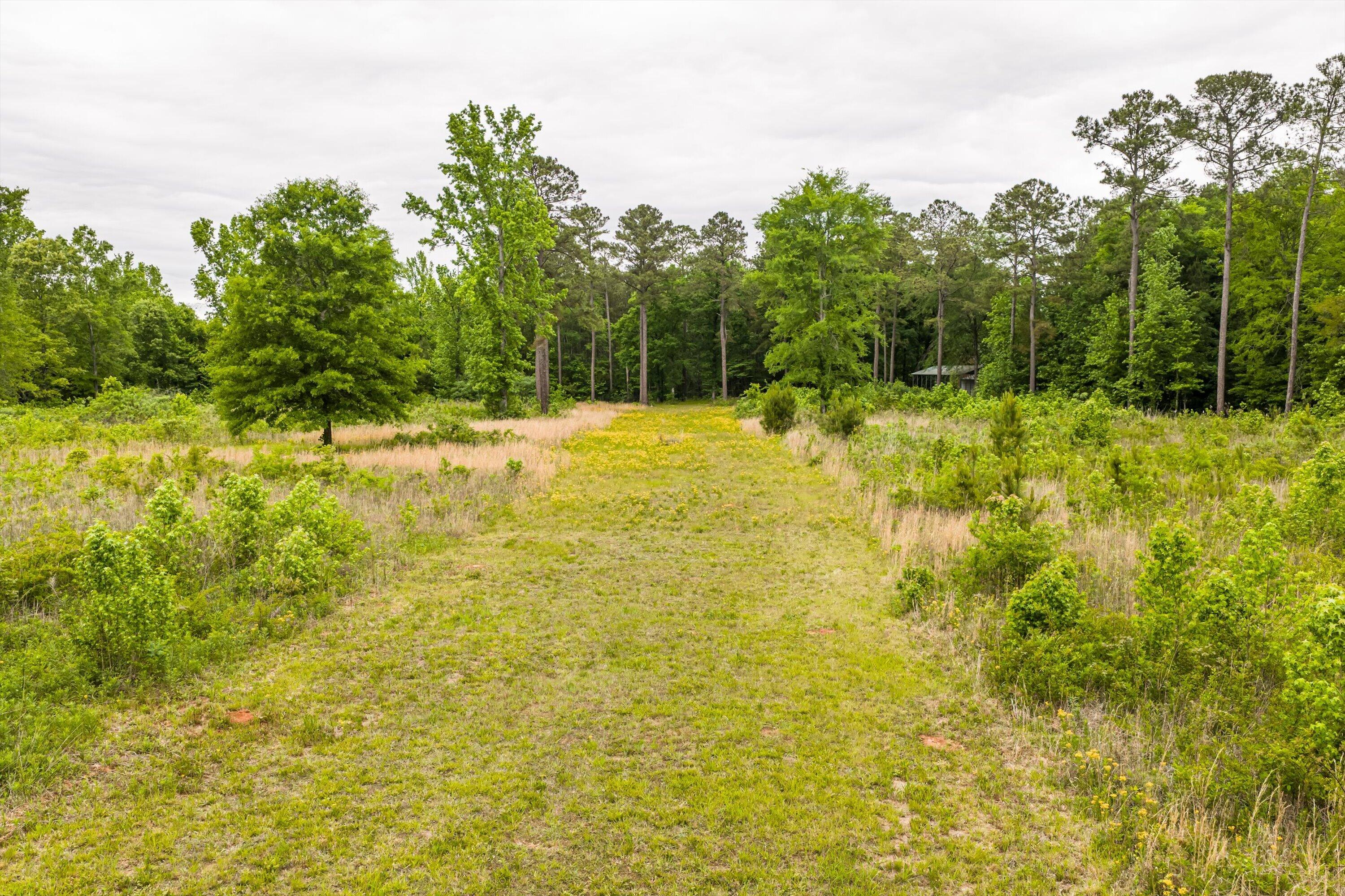 3776 Mt Zion Church Road Lincolnton, GA 30817 - Photo 11 of 39 11-DJI_20260501091657_0031_D-HDR