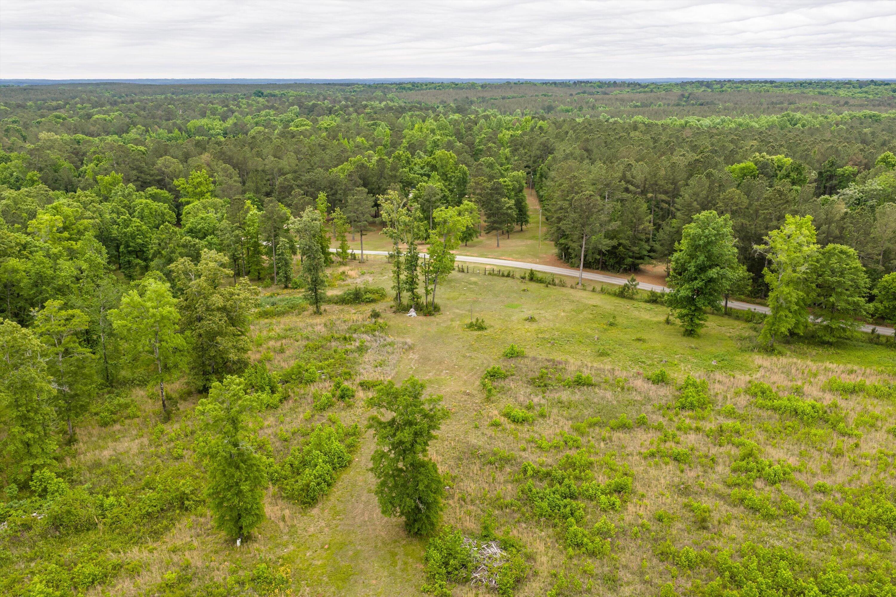 3776 Mt Zion Church Road Lincolnton, GA 30817 - Photo 13 of 39 13-DJI_20260501091820_0037_D-HDR