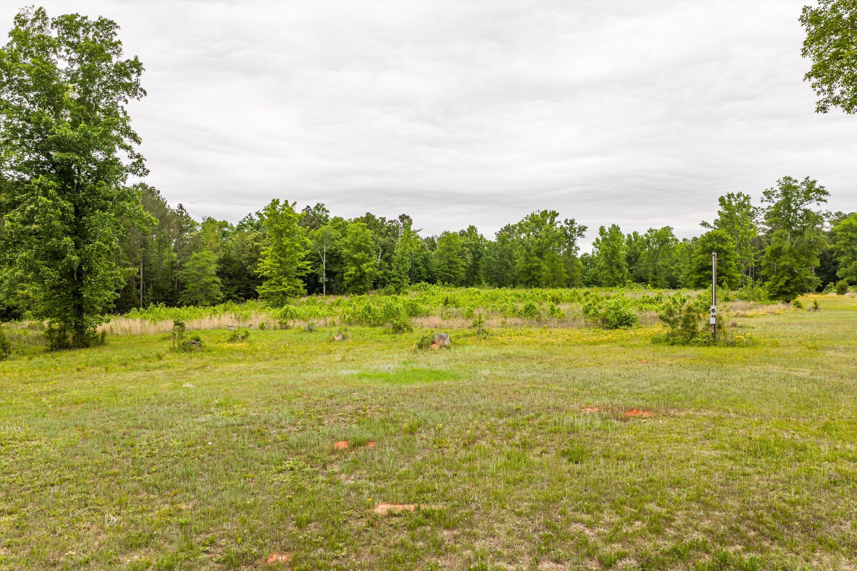 3776 Mt Zion Church Road Lincolnton, GA 30817 - Photo 2 of 39 01-DJI_20260501091415_0001_D-HDR