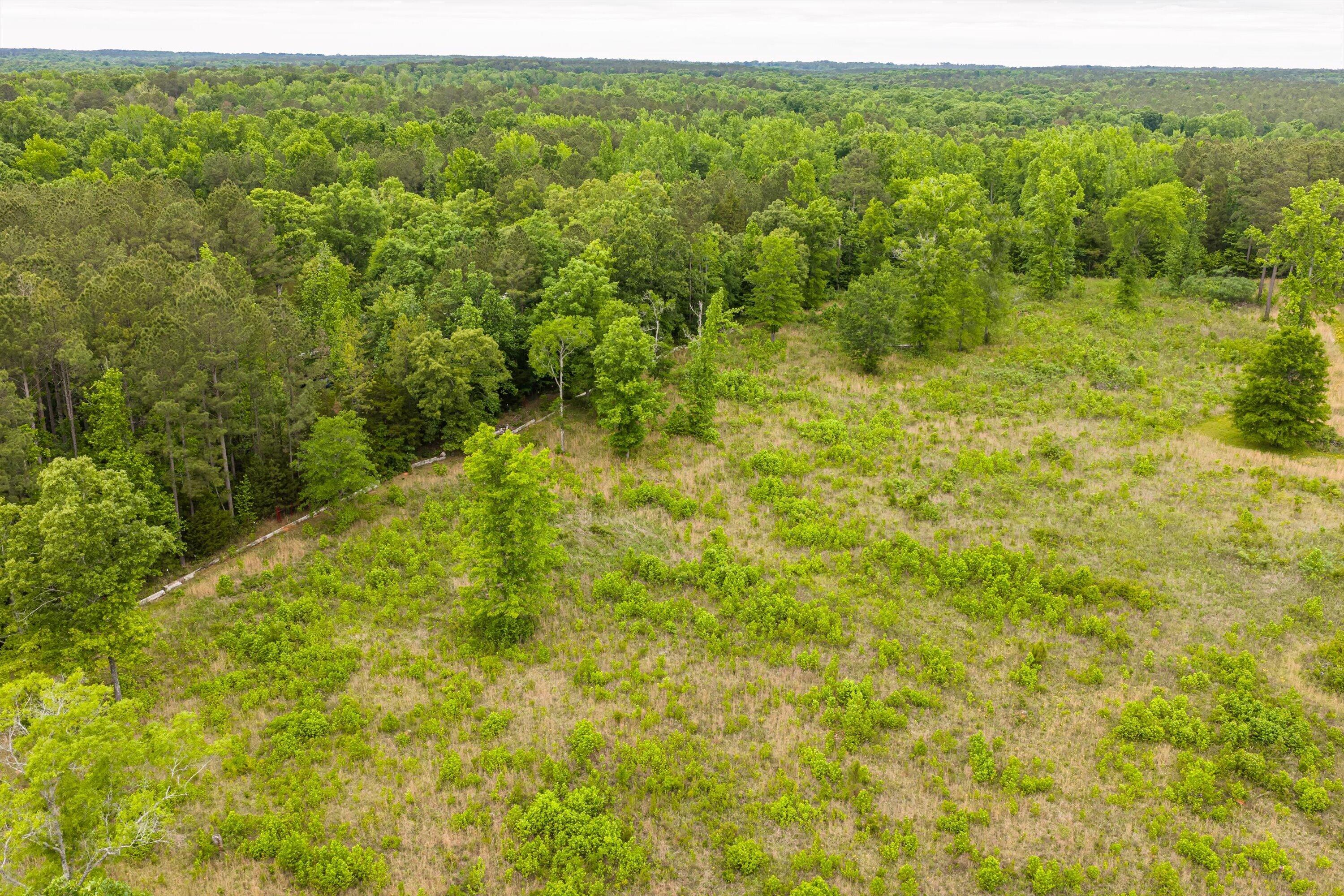 3776 Mt Zion Church Road Lincolnton, GA 30817 - Photo 28 of 39 28-DJI_20260501092253_0082_D-HDR
