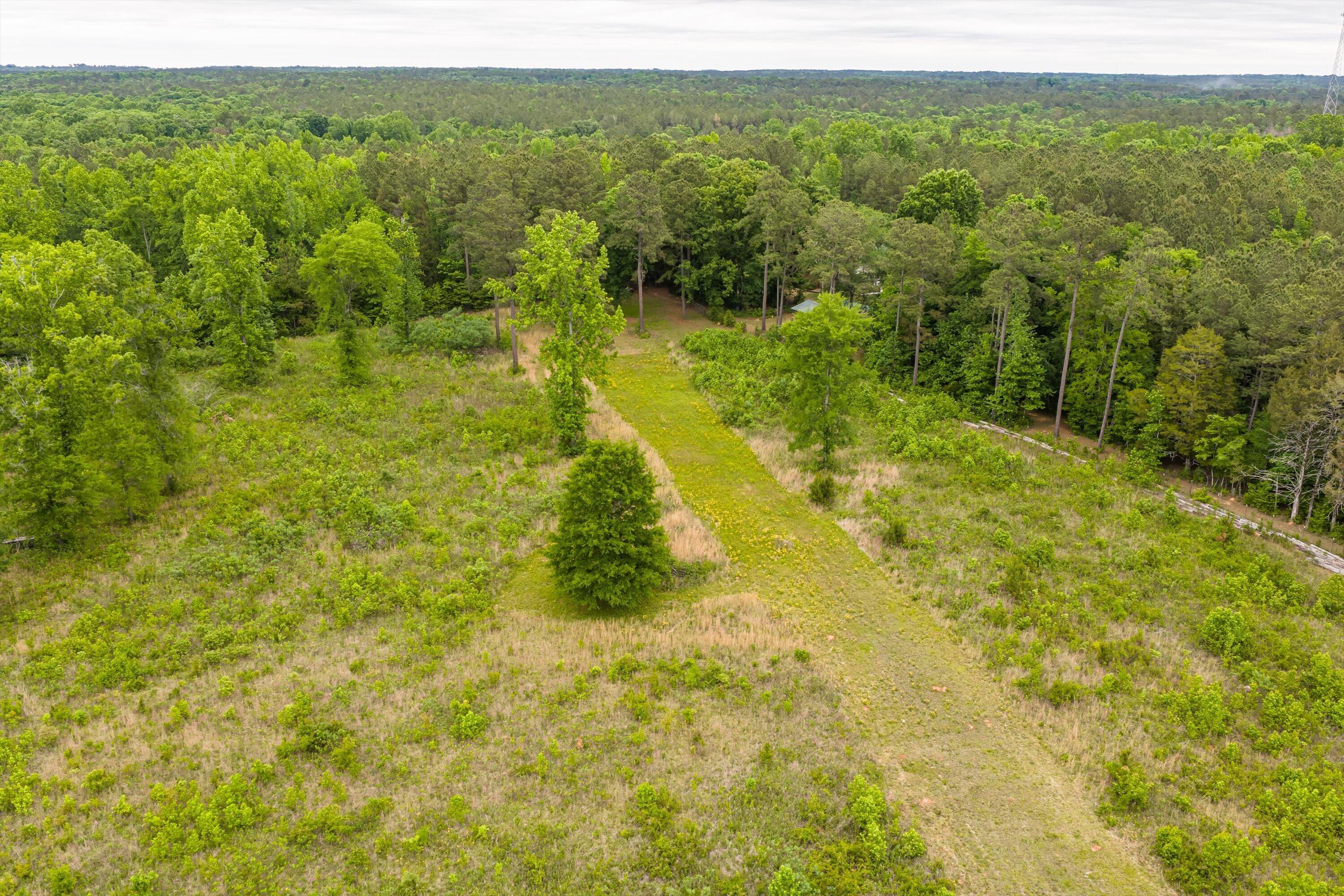 3776 Mt Zion Church Road Lincolnton, GA 30817 - Photo 29 of 39 29-DJI_20260501092307_0085_D-HDR