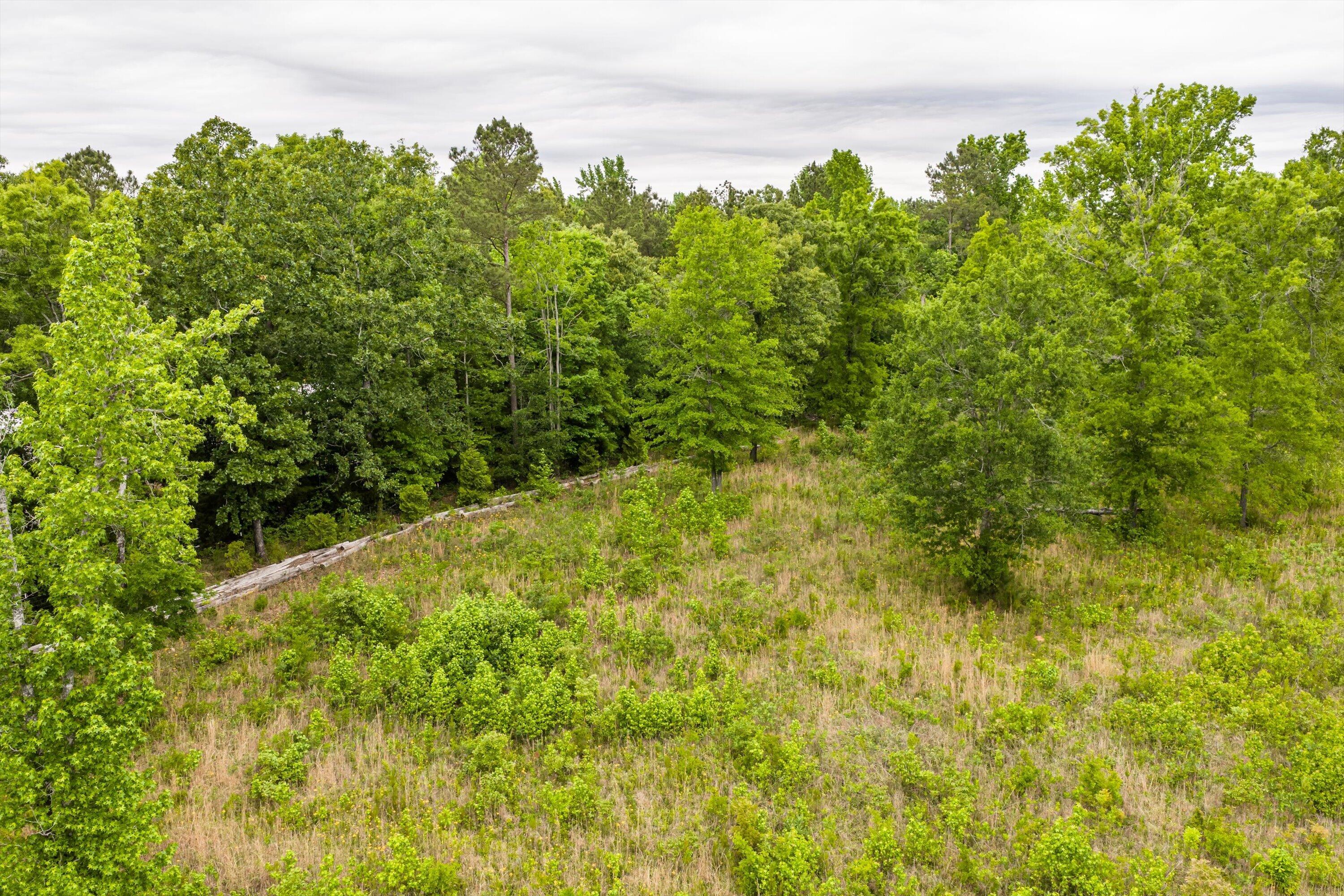 3776 Mt Zion Church Road Lincolnton, GA 30817 - Photo 30 of 39 30-DJI_20260501092328_0088_D-HDR