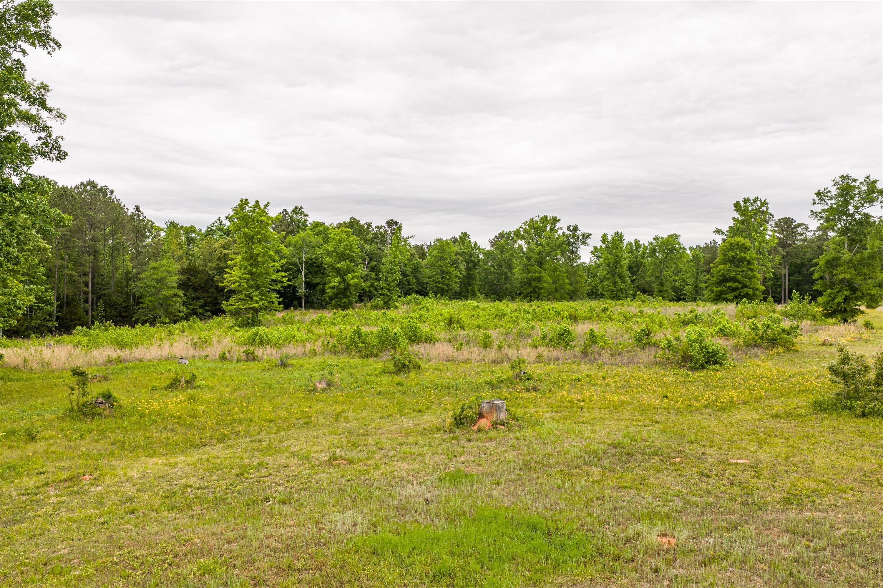 3776 Mt Zion Church Road Lincolnton, GA 30817 - Photo 3 of 39 02-DJI_20260501091435_0004_D-HDR