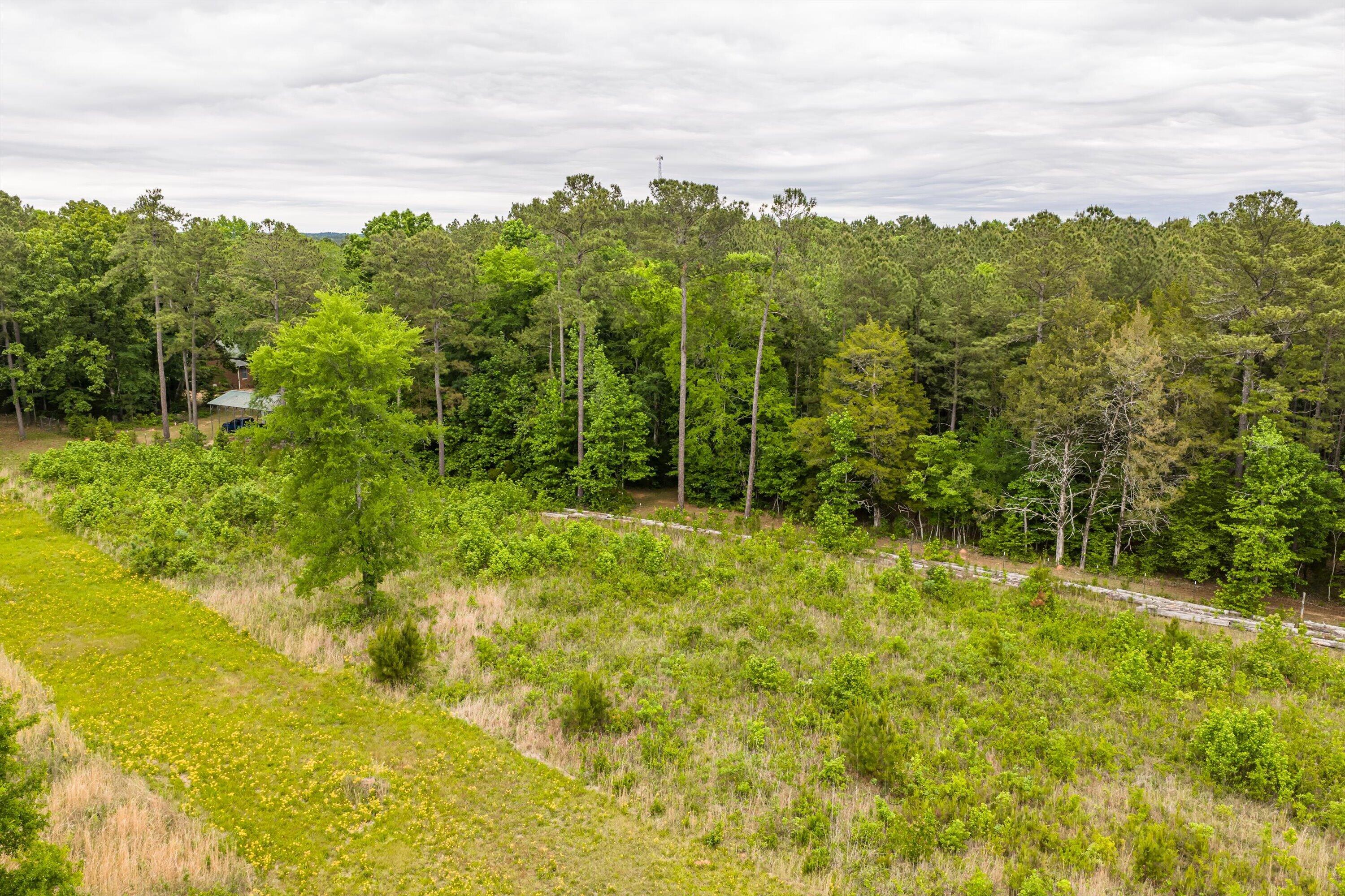 3776 Mt Zion Church Road Lincolnton, GA 30817 - Photo 32 of 39 32-DJI_20260501092433_0094_D-HDR