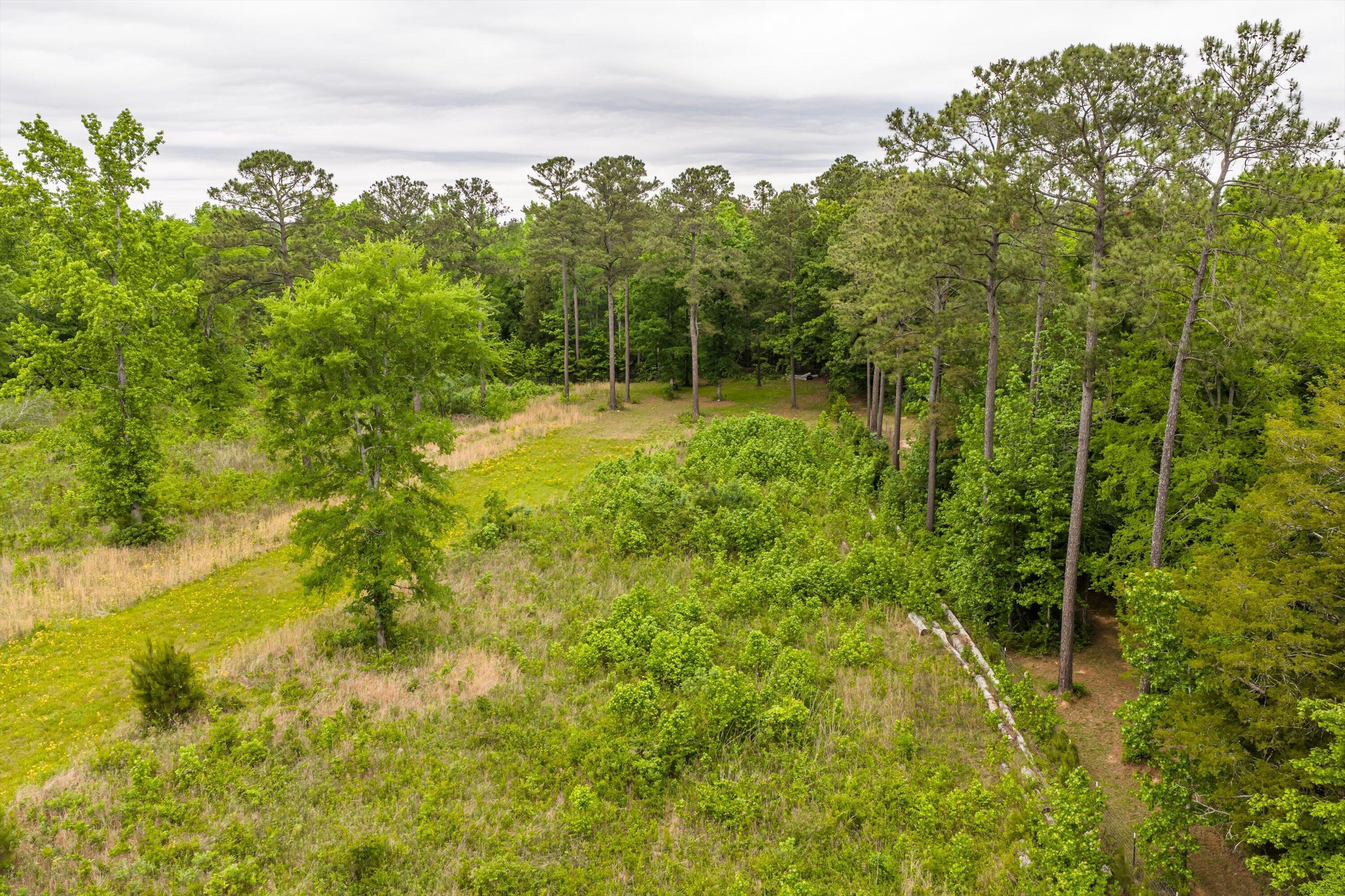 3776 Mt Zion Church Road Lincolnton, GA 30817 - Photo 33 of 39 33-DJI_20260501092450_0097_D-HDR