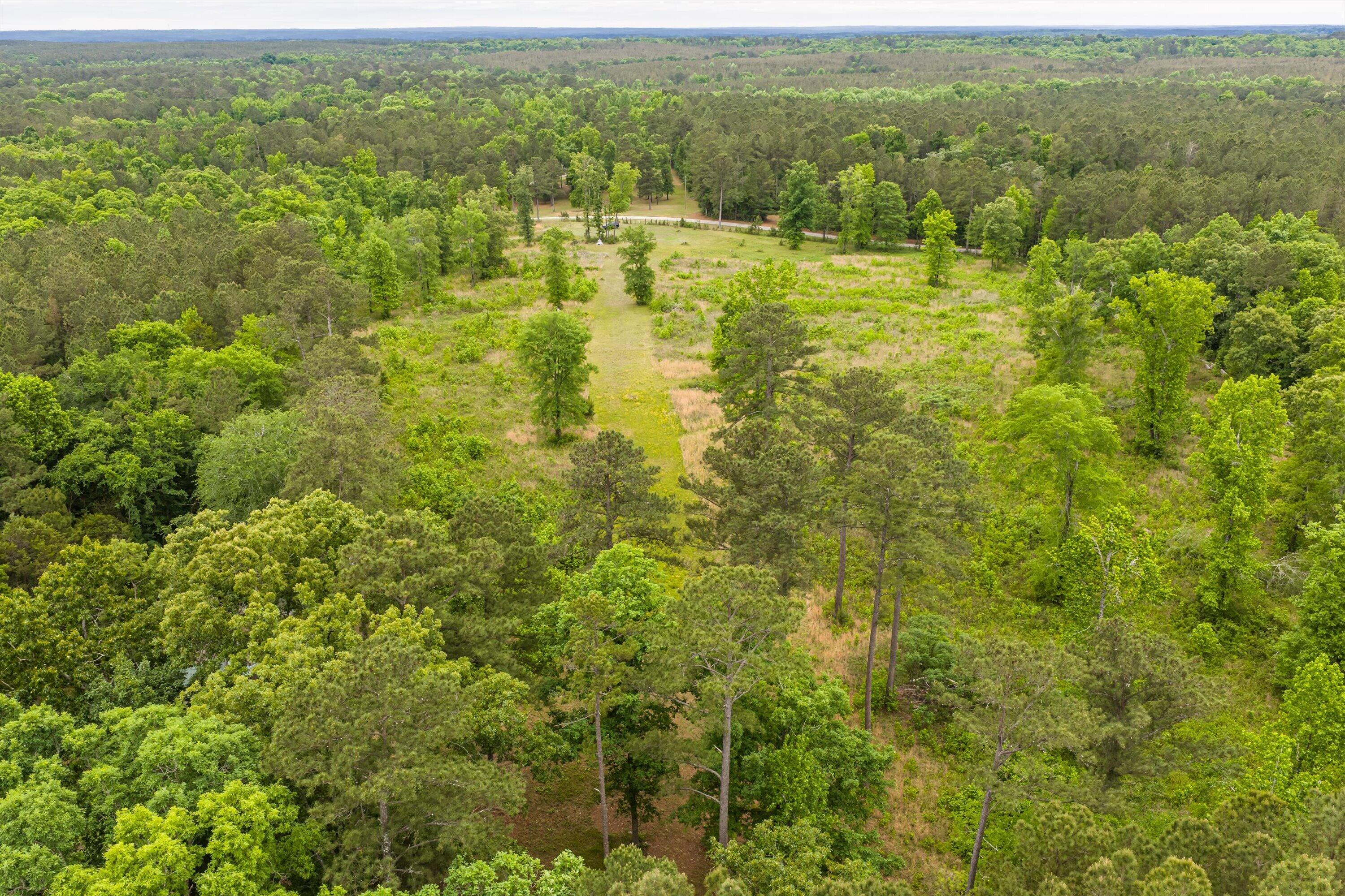 3776 Mt Zion Church Road Lincolnton, GA 30817 - Photo 34 of 39 34-DJI_20260501092525_0100_D-HDR