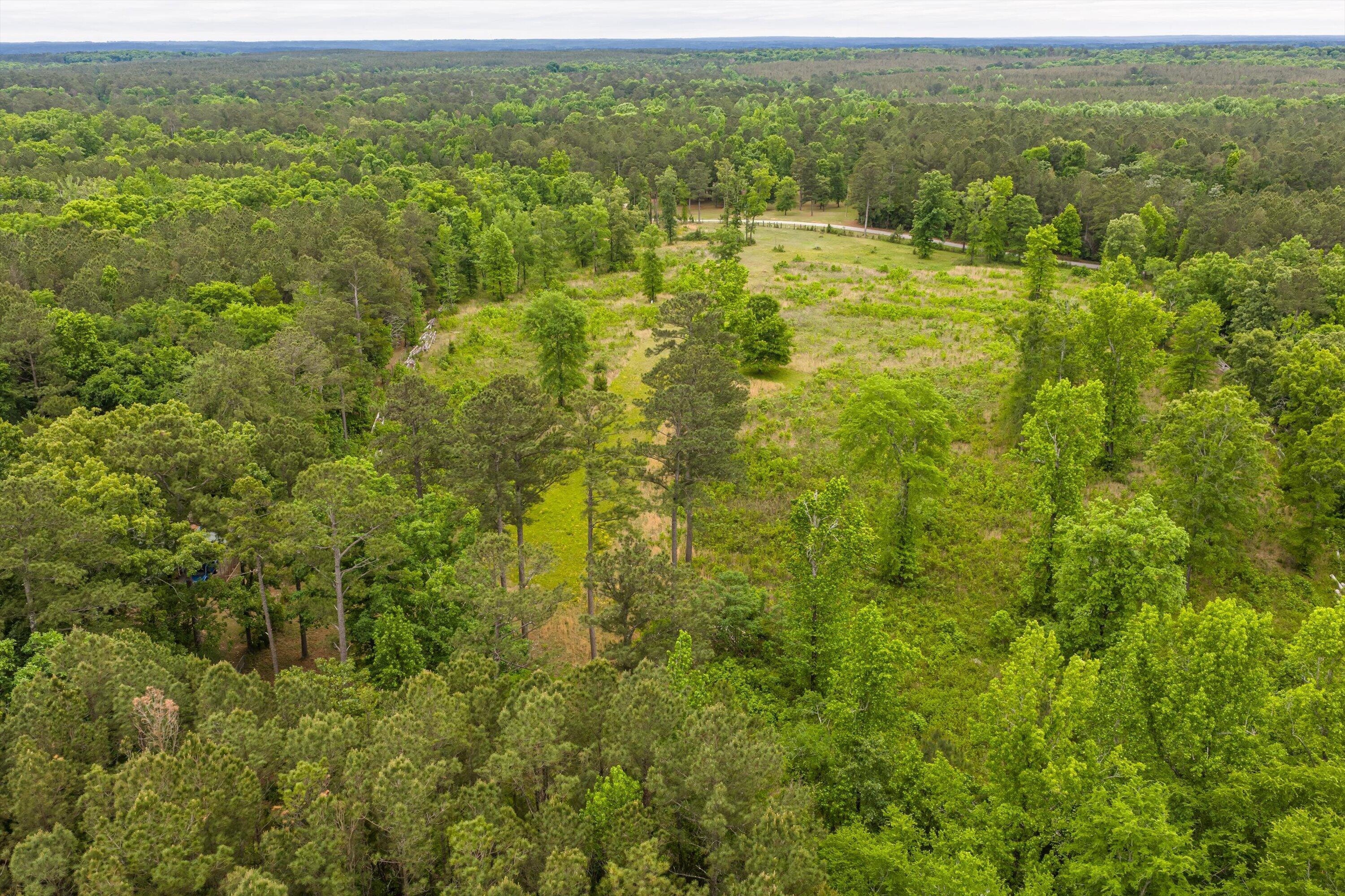 3776 Mt Zion Church Road Lincolnton, GA 30817 - Photo 35 of 39 35-DJI_20260501092537_0103_D-HDR