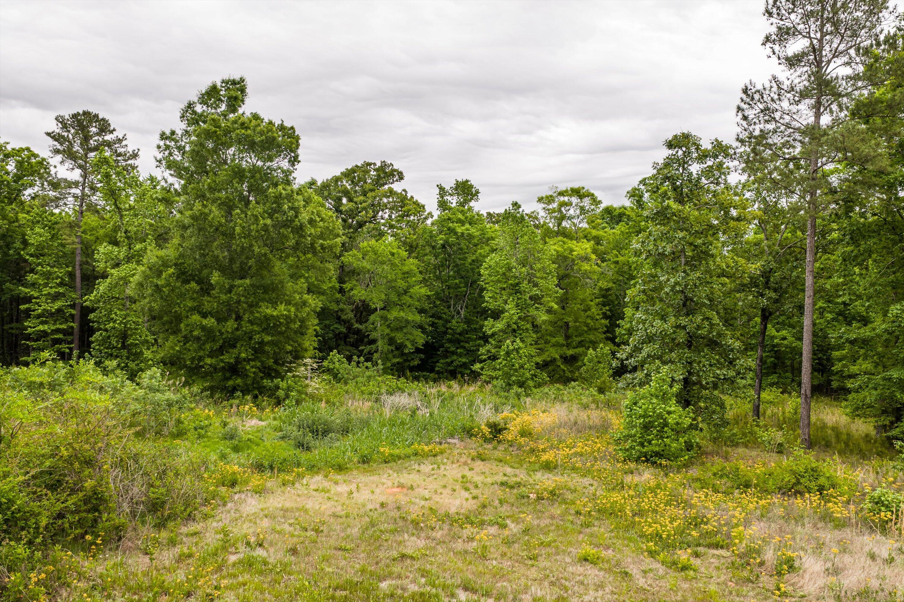 3776 Mt Zion Church Road Lincolnton, GA 30817 - Photo 39 of 39 39-DJI_20260501092744_0115_D-HDR