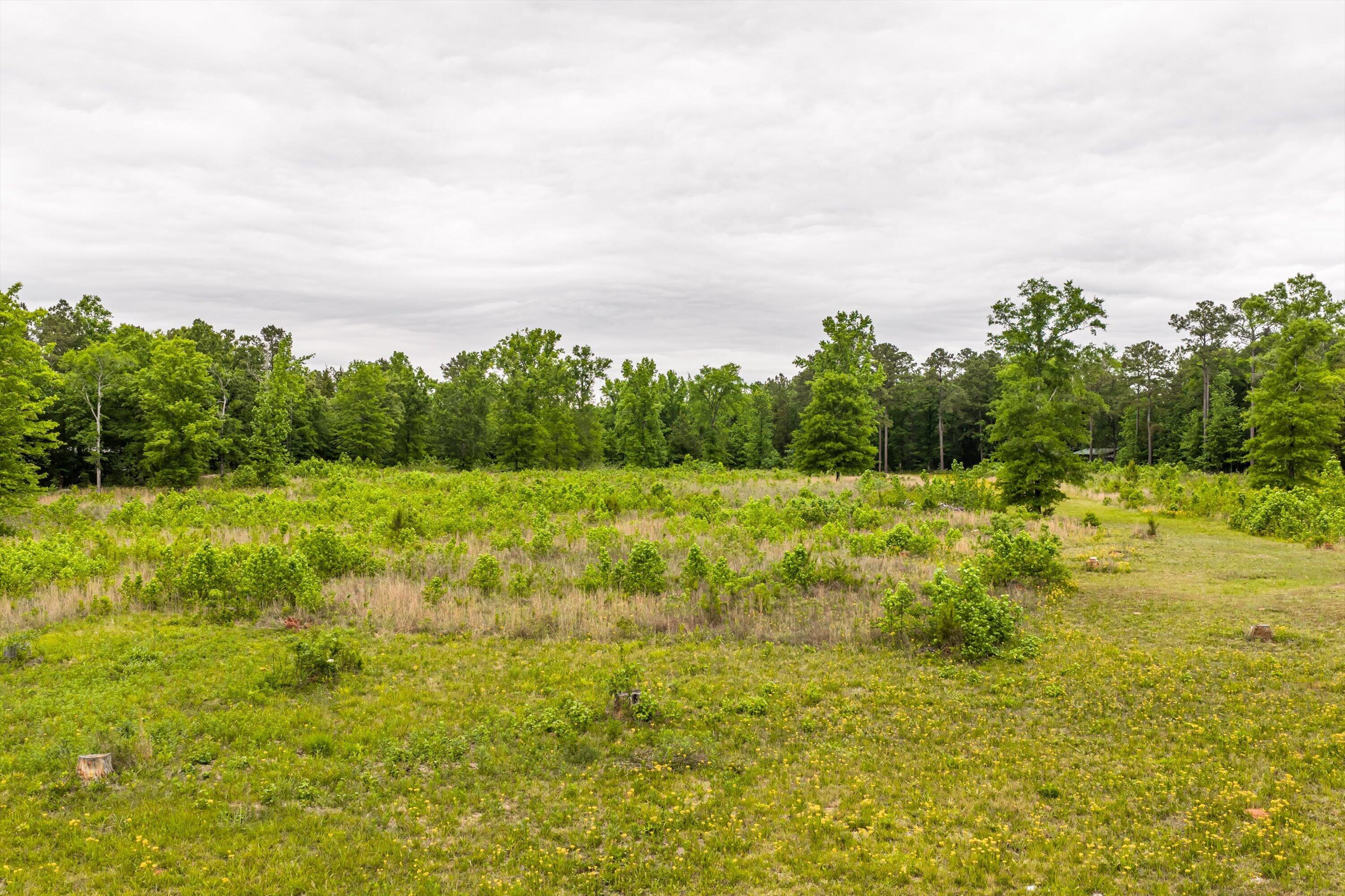 3776 Mt Zion Church Road Lincolnton, GA 30817 - Photo 4 of 39 03-DJI_20260501091446_0007_D-HDR