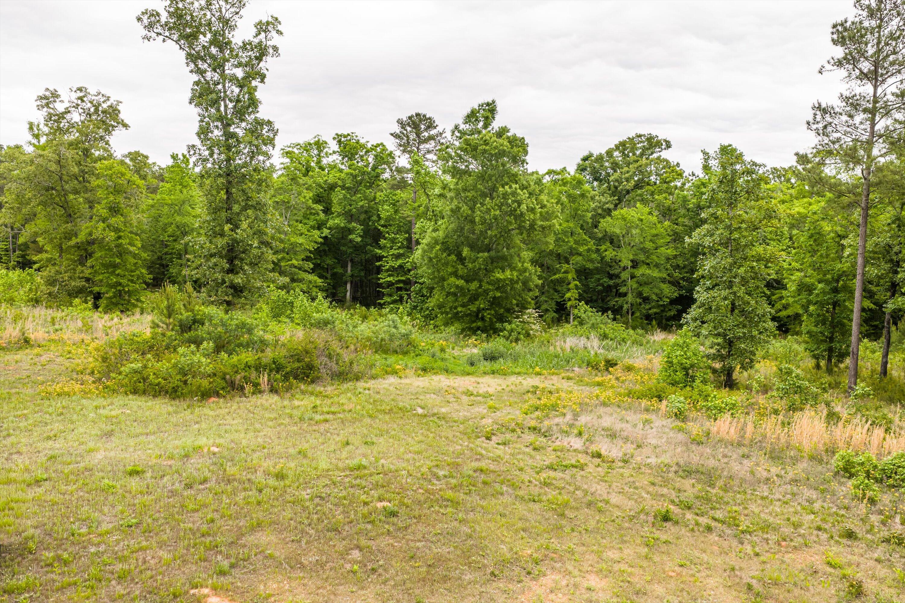 3776 Mt Zion Church Road Lincolnton, GA 30817 - Photo 8 of 39 08-DJI_20260501091617_0022_D-HDR