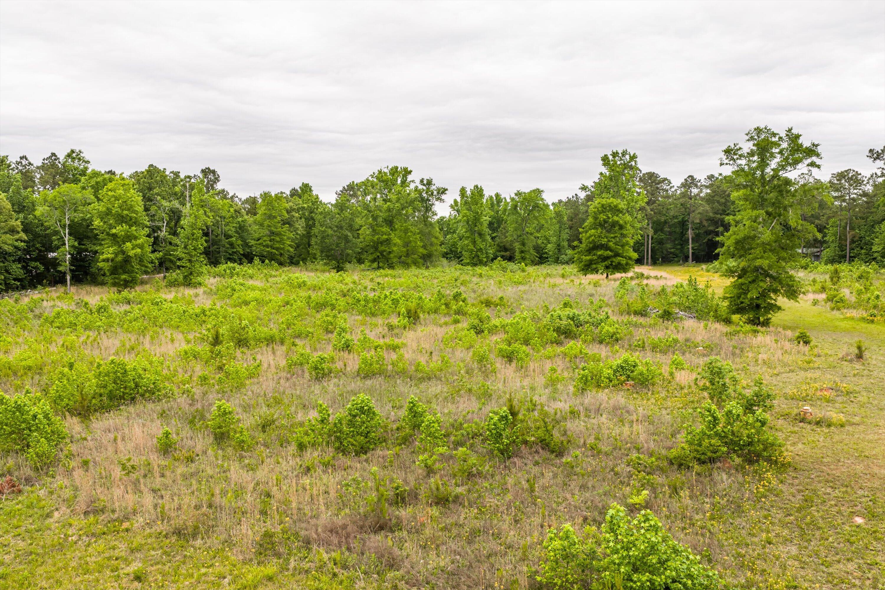 3776 Mt Zion Church Road Lincolnton, GA 30817 - Photo 9 of 39 09-DJI_20260501091632_0025_D-HDR